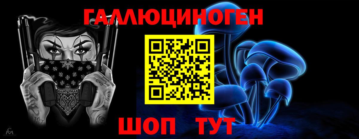 Краснокаменск  Псилоцибиновые грибы Psilocybine cubensis  Вход с VPN  Псилоцибиновые грибы мицелий 
